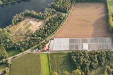 Greenhouses at Brandgraben in the district Sondernheim in Germersheim in the state Rhineland-Palatinate, Germany