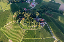 Fields of wine cultivation landscape in Oberkirch in the state Baden-Wurttemberg