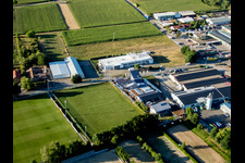 Drone image of Billigheim-Ingenheim in the state Rhineland-Palatinate, Germany