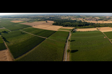Fields and vineyards between Barbelroth and Winden in Barbelroth in the state Rhineland-Palatinate, Germany