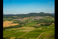 Bird's eye view of District Gleiszellen in Gleiszellen-Gleishorbach in the state Rhineland-Palatinate, Germany