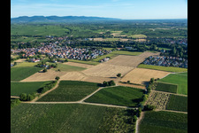 Oblique view of From the south in the district Ingenheim in Billigheim-Ingenheim in the state Rhineland-Palatinate, Germany